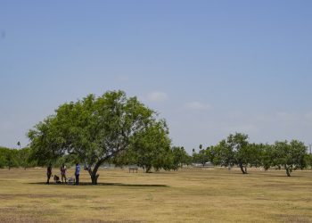 Arde Valle de Texas, se espera calor de tres dígitos