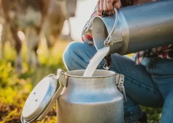 Brote de gripe aviar: No bebas leche cruda, no importa lo que digan en redes sociales