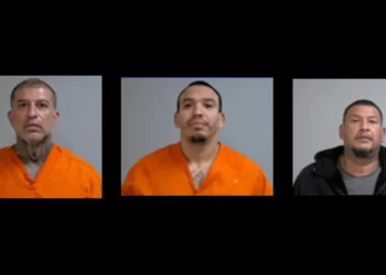 Encuentran restos humanos en Edinburg