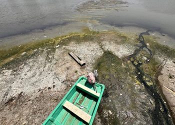 Aumentan municipios con sequía extrema en Tamaulipas