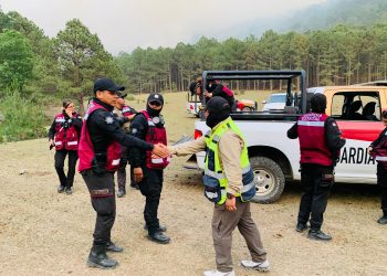 Tamaulipas atiende Incendio Forestal en el Cañón del Novillo