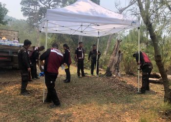 Continúan brigadistas en el Cañón del Novillo