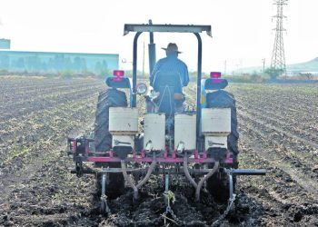 Remesas financian la siembra en Guanajuato por falta de apoyos