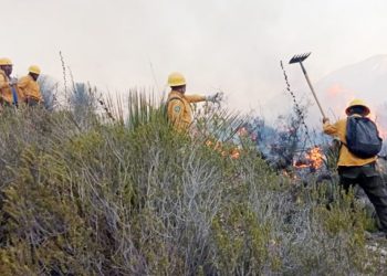 Protección Civil Tamaulipas logra apagar incendio forestal en Cañón del Novillo