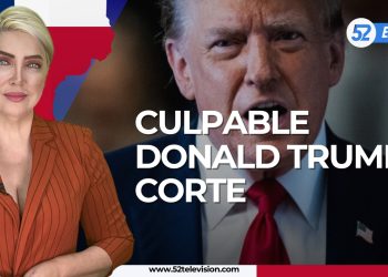 Culpable Donald Trump: Corte