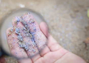 Estudio descubre más microplásticos en el cuerpo humano, ahora en coágulos sanguíneos