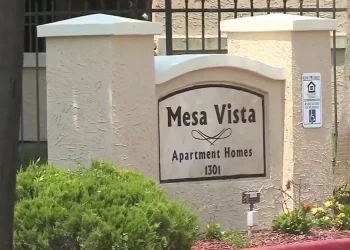 Adolescente de Donna, TX fallece tras recibir un disparo en el pecho