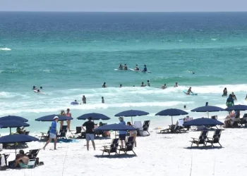Ataques de tiburón hieren a tres personas en playa de Florida
