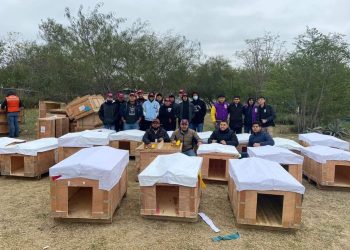 Resguarda Alcalde Carlos Peña Ortiz a animalitos en condición de calle