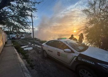 Instruye Gobierno de Reynosa a atender actos que dañen el medio ambiente