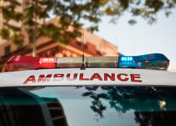 Ataque de perro en Monte Alto deja una mujer muerta