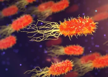 Se reporta un aumento preocupante de casos de una bacteria “come carne” en Japón