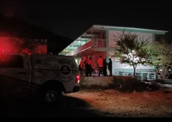 Monterrey: Abejas atacan a niños en escuela secundaria