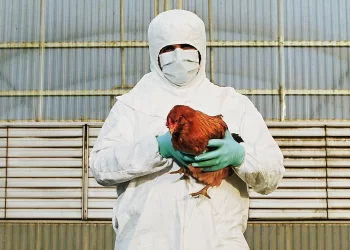 OMS confirma primera muerte por gripe aviar AH5N2 en México