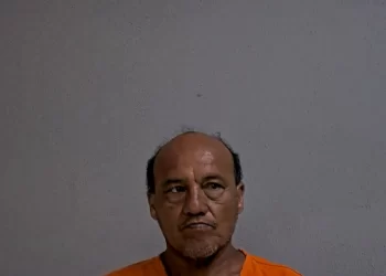 Arrestan a hombre por tener sexo con una yegua