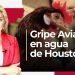 Gripe Aviar en agua de Houston TX