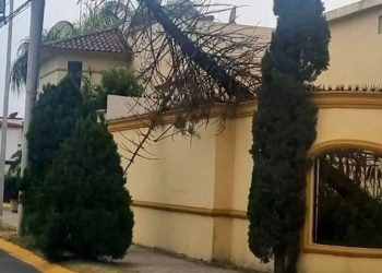 Lluvias y granizo causan apagones y tiran árboles en Nuevo León
