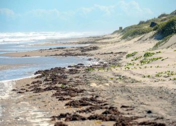 Marea alta obliga al cierre de varias playas del condado de Cameron, Texas