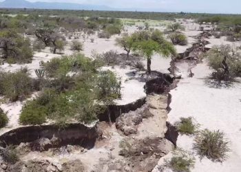 Grieta gigante causa miedo y daños en Pueblo Mágico de Tamaulipas: geólogos ya la investigan