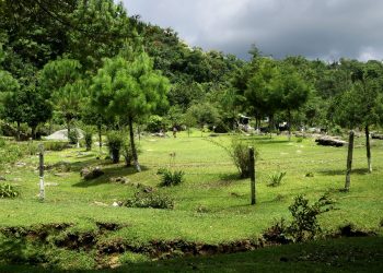 Fortalece Tamaulipas medidas para proteger reservas naturales