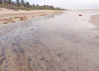 Derrame de crudo afectó 36 kilómetros de playa de Coatzacoalcos, Veracruz