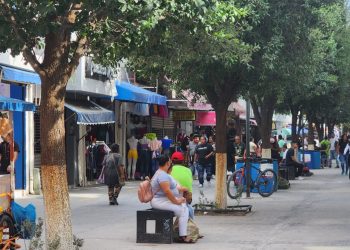 Gobierno de Reynosa motiva convivencia familiar en calle peatonal del centro
