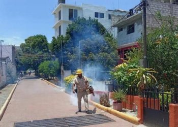 Se disparan los casos de dengue en México, ¿cuáles son los estados más afectados? 