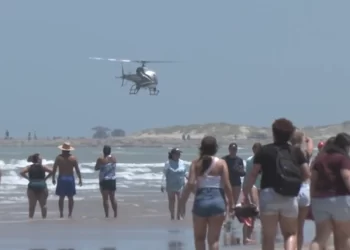 Tiburón muerde a un nadador en la Isla del Padre