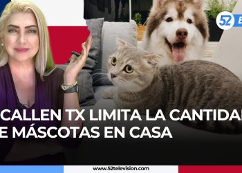 Nombra Sheinbaum primera mujer al mando de la CFE