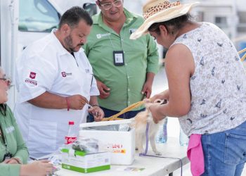 Dirigió Gobierno de Reynosa Servicios Veterinarios
