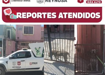 Emitió Gobierno Municipal de Reynosa Acta por maltrato animal en Unidad Obrera