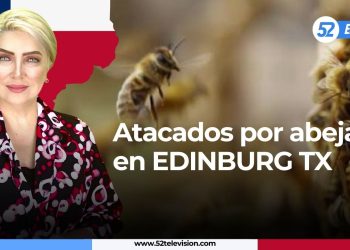 Termina el paro! A trabajar poder judicial!