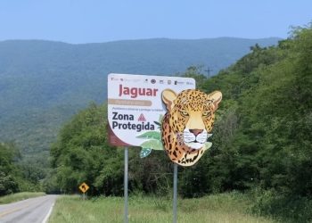 Coloca Comisión de Parques señalética para evitar atropellamientos de fauna