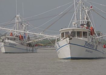 Flota camaronera tamaulipeca, la más grande del Golfo de México