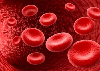 Investigadores descubren nuevo grupo sanguíneo tras 50 años de investigación