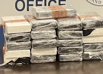 Más de 700 mil dlls en cocaína incautados en el Puerto de Entrada de Roma