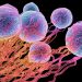 Desarrollan un tratamiento eficaz para curar y prevenir el cáncer 