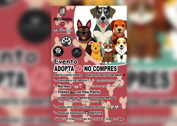 Adopta No Compres, un evento de amor en Reynosa