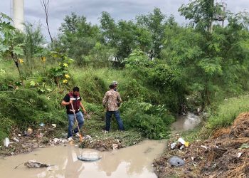 Gobierno de Reynosa actúa de manera eficaz frente a fuertes lluvias