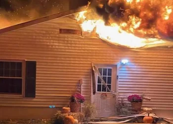 Incendio en refugio de perros en Nueva York deja más de 40 animales muertos