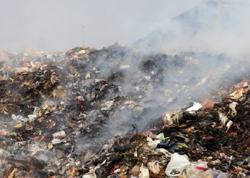 Incendio en Las Anacuas: Fuego moviliza a bomberos