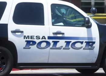 Avión con 5 pasajeros a bordo se estrella en Arizona