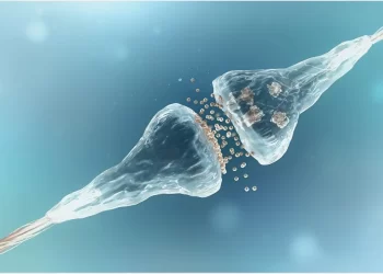 Científicos descubren que la memoria no se limita a nuestro cerebro