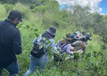 Localizan restos humanos a un costado de la autopista Monterrey-Reynosa