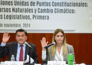 Presentó Senadora Maki Ortiz Reforma Constitucional Contra el Maltrato Animal