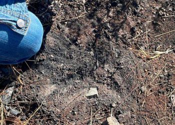 Encuentran restos calcinados en brecha de Los Fresnos