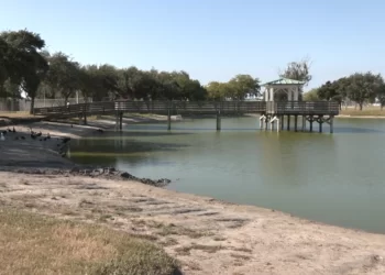 Encuentran un auto sumergido en el lago del Complejo Deportivo de Harlingen