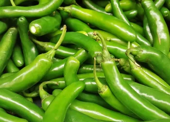 CBP incauta $30 millones en metanfetamina oculta en un cargamento de chiles serranos