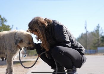 Migrantes de cuatro patas