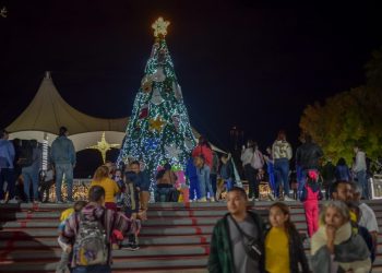 Ilumina pino navideño corazones de asistentes al Parque Tamatán